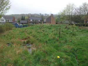 New School Playground